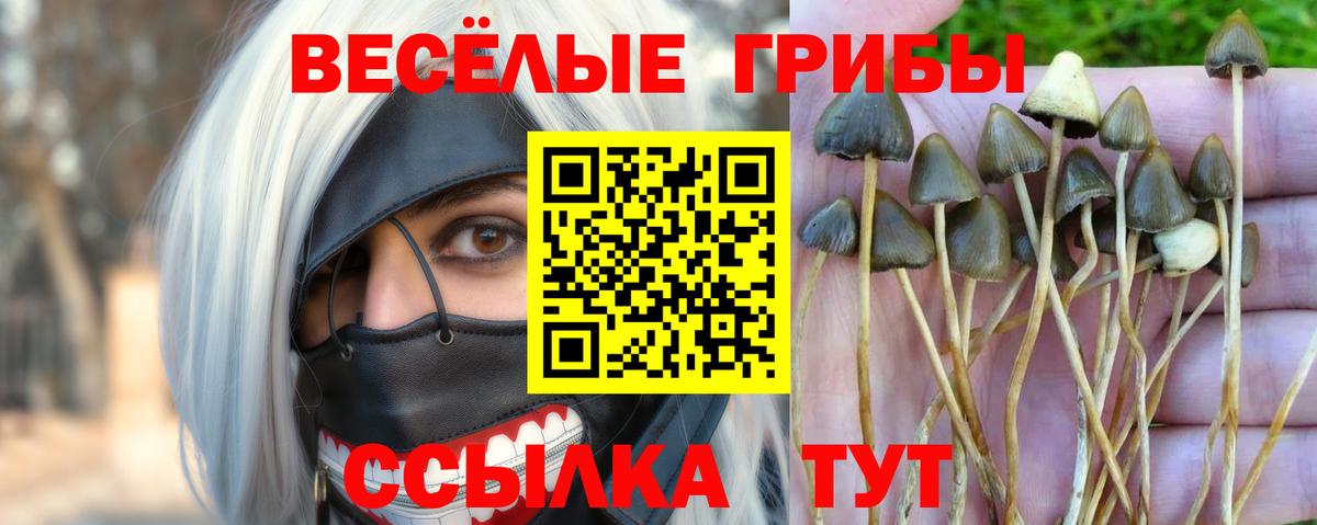 Соль-Илецк  Галлюциногенные грибы мицелий  наркошоп  Вход с VPN 